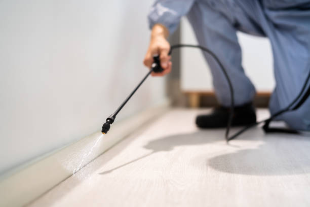 Licensed Pest Control service in Mason County County, MI - Nex Pest Control