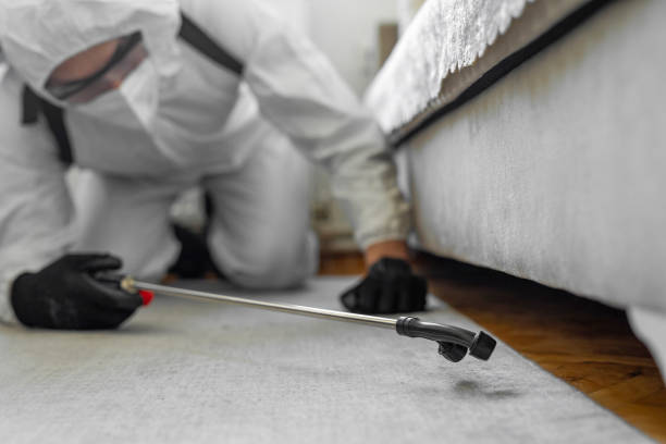 Professional Pest Control technician working in Mason County County, MI